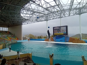 「☆社員旅行【和歌山】☆」の画像